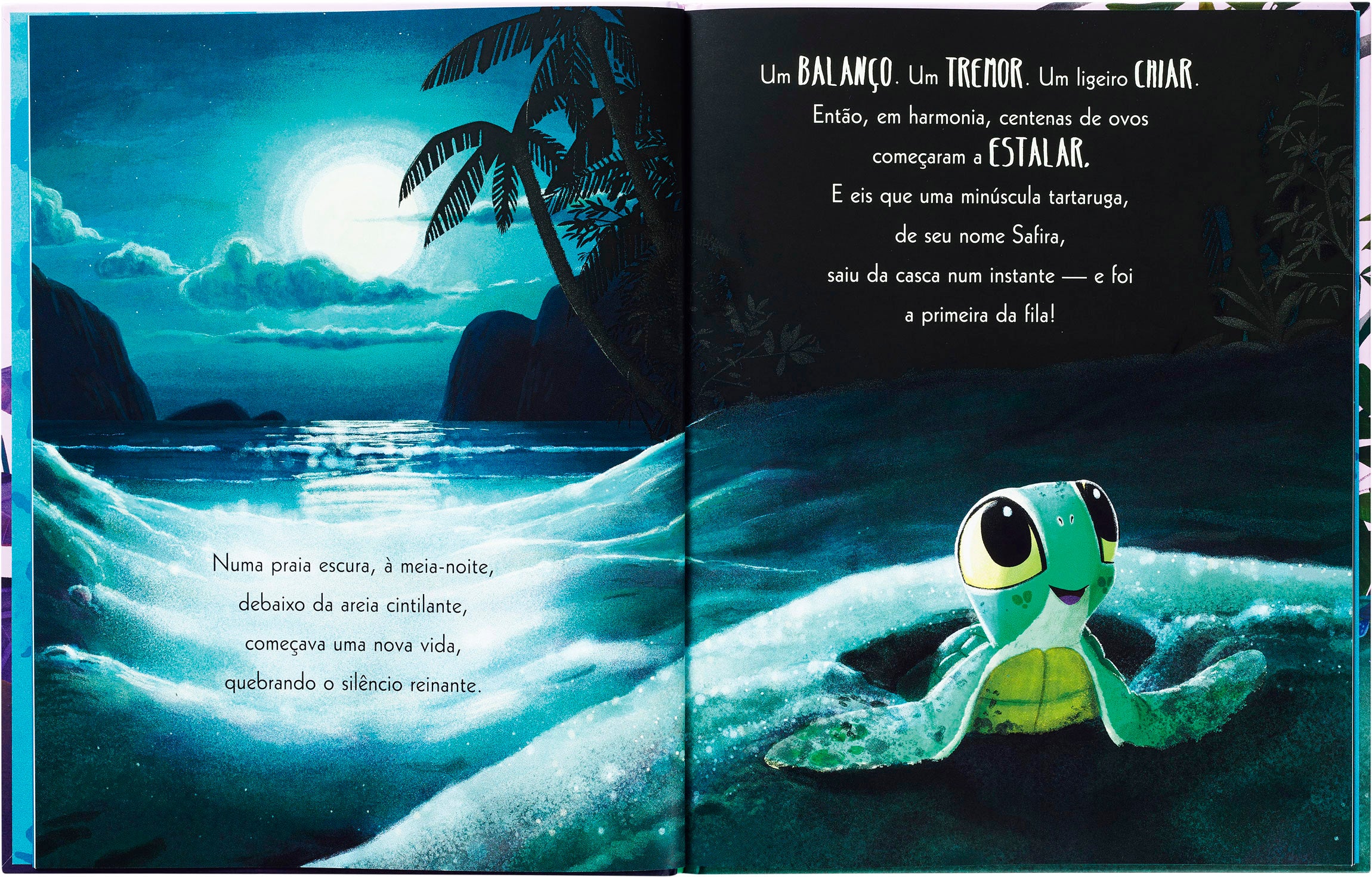 A Tartaruga Que Não Desistiu - Image 3