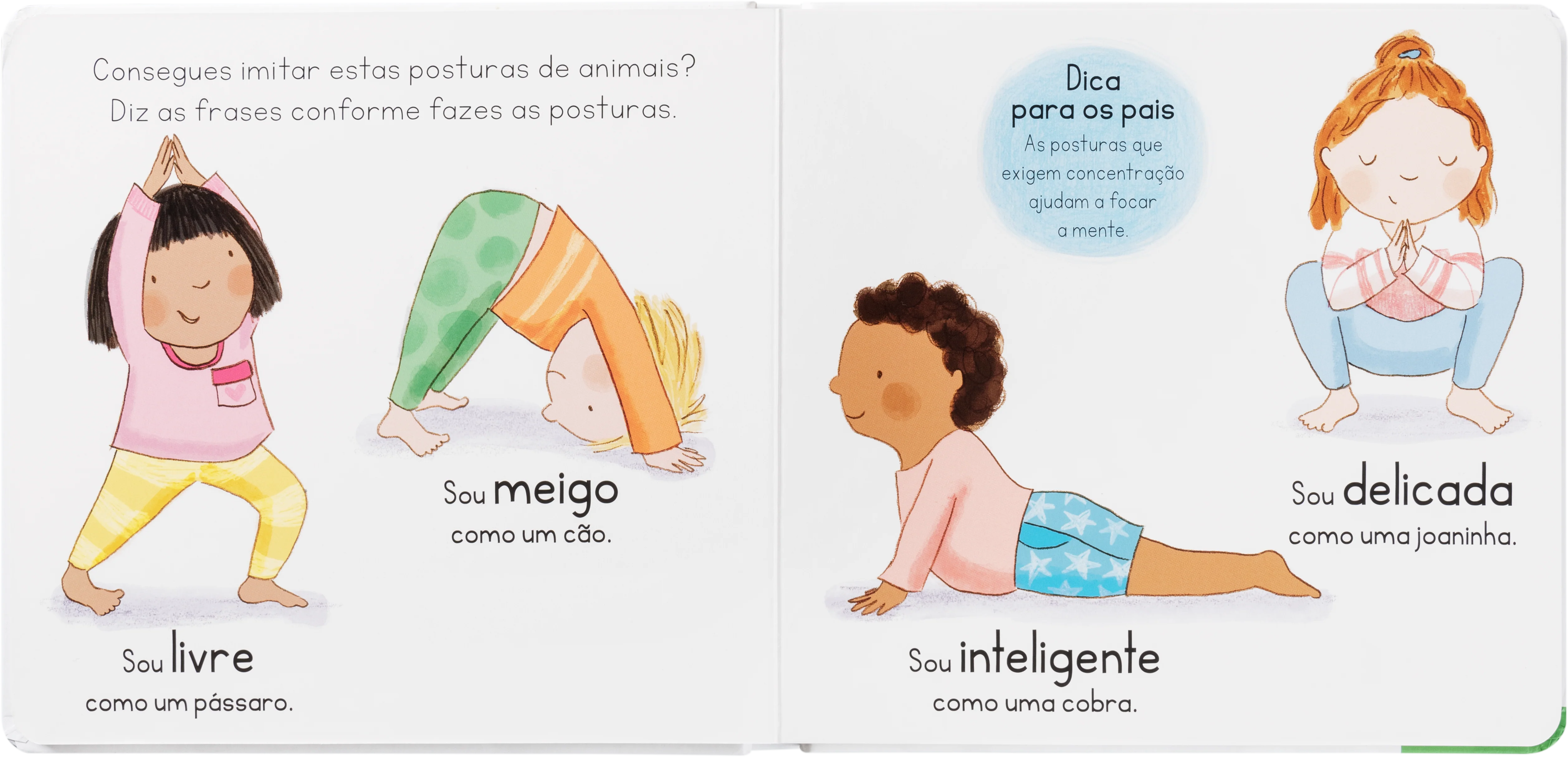 Calma - Image 2