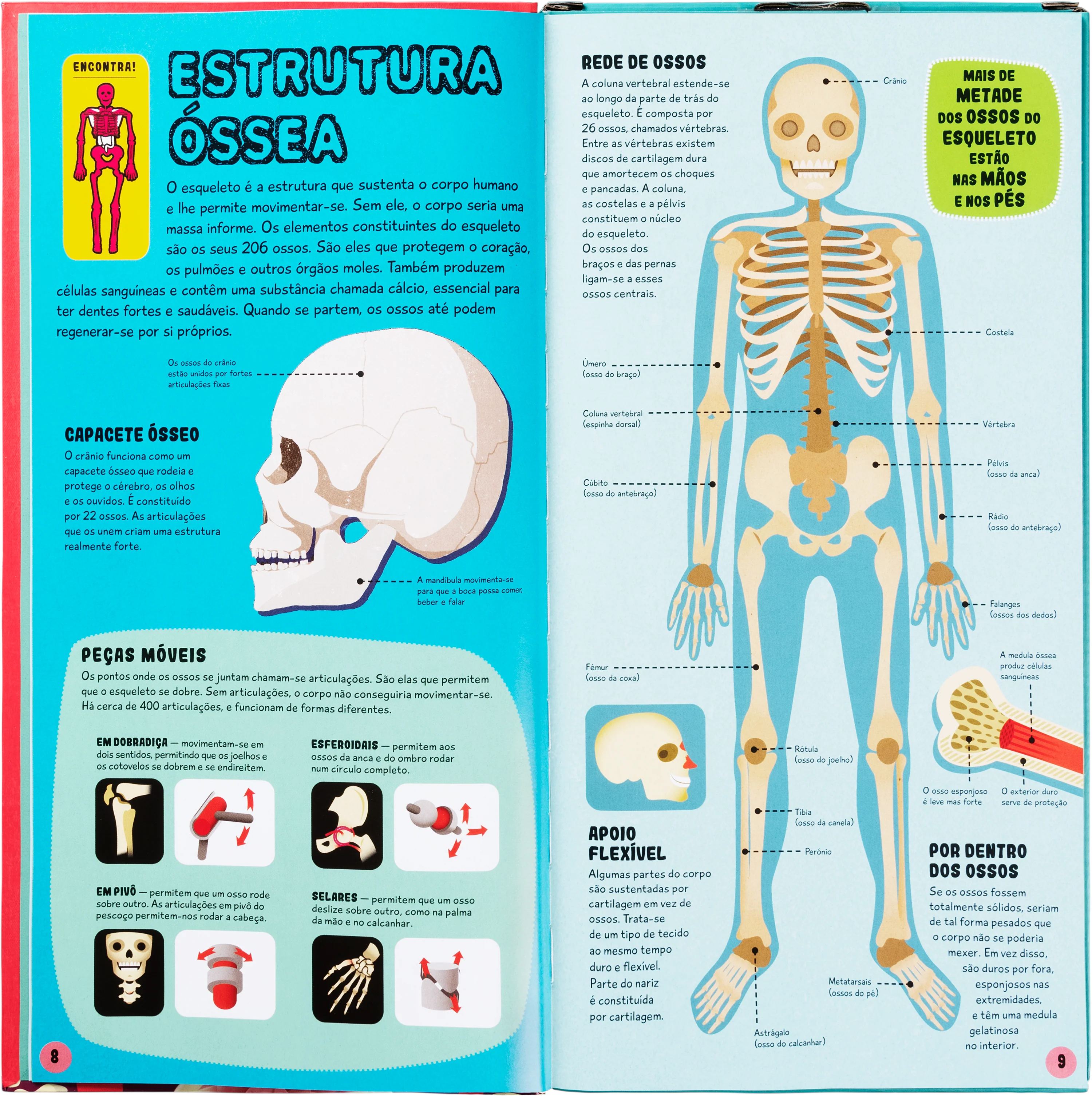 Constrói o Corpo Humano - Image 2