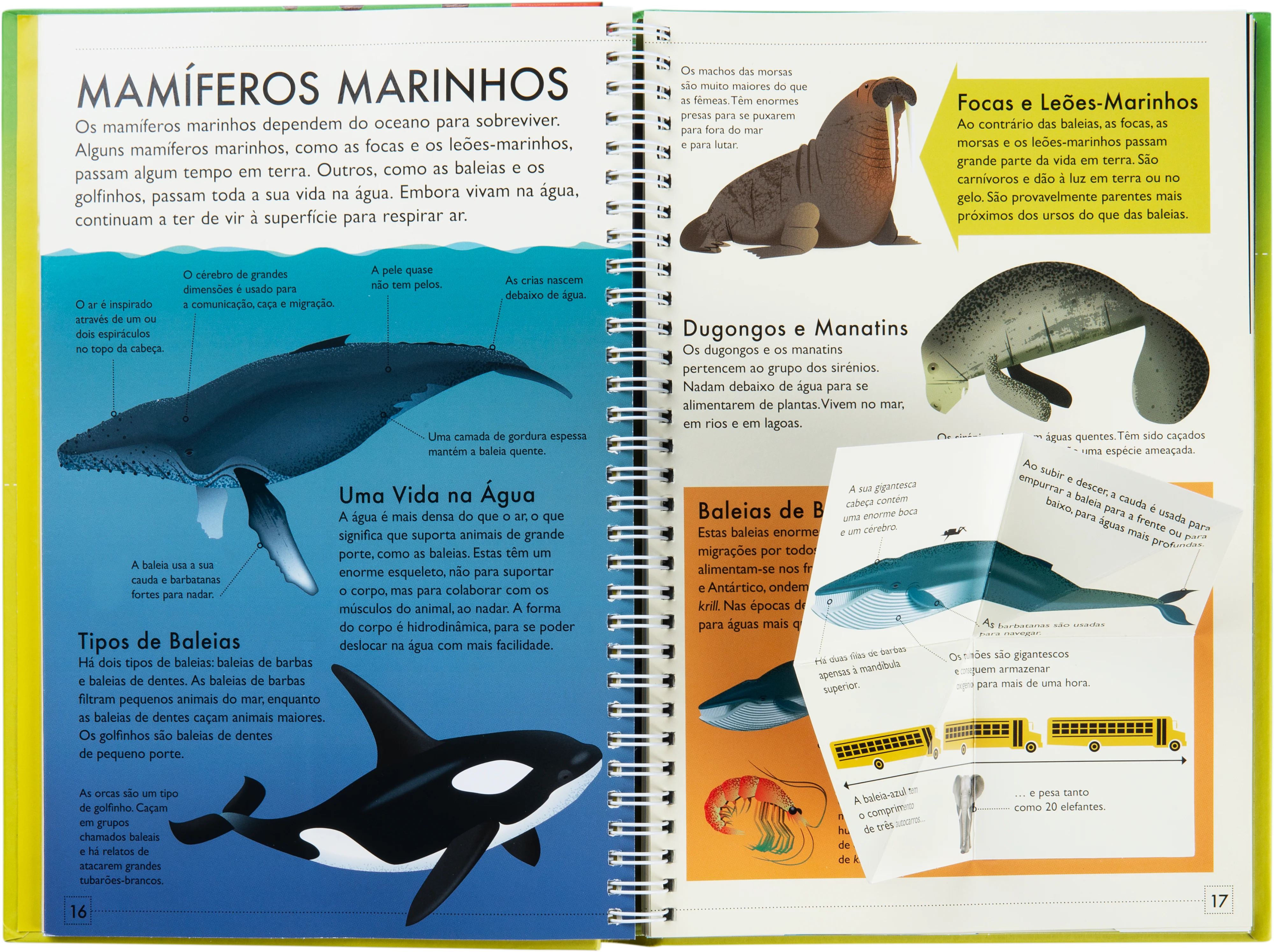 Descobre Mais - Reino Animal - Image 2