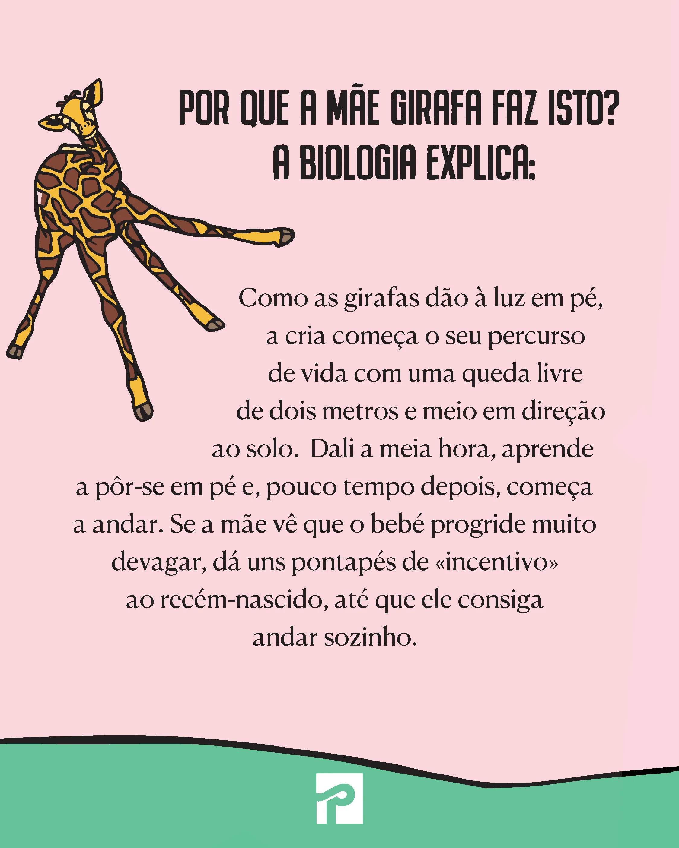 Há Mães muito Piores do que Tu - Image 3