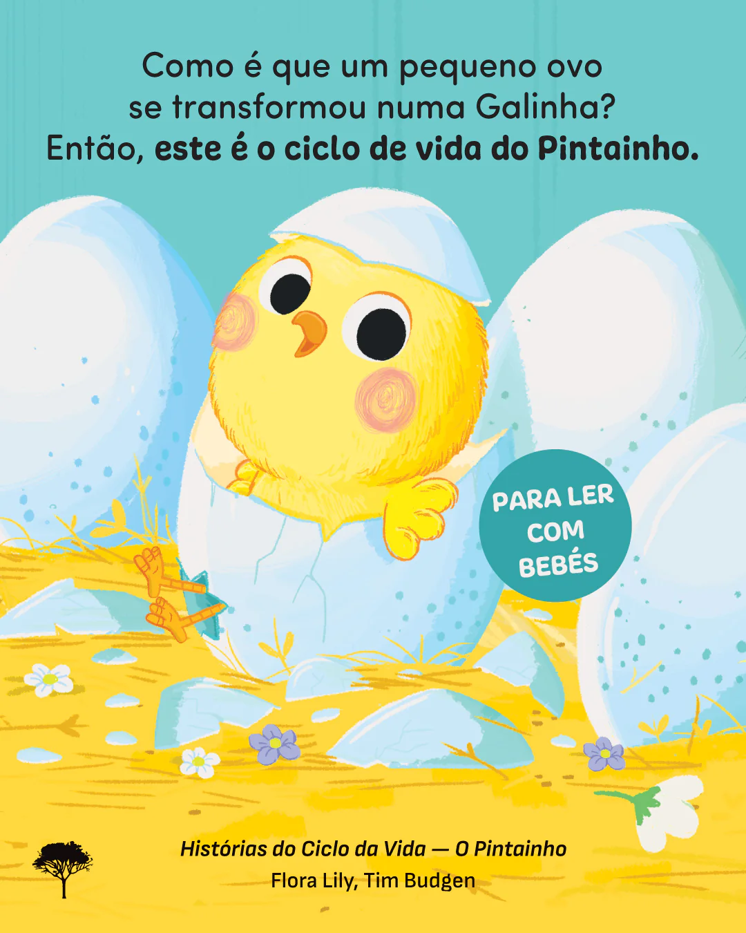 Histórias do Ciclo da Vida - O Pintainho - Image 2
