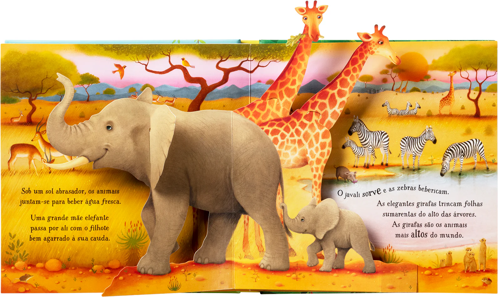 Livro Pop-up Animais - Image 2