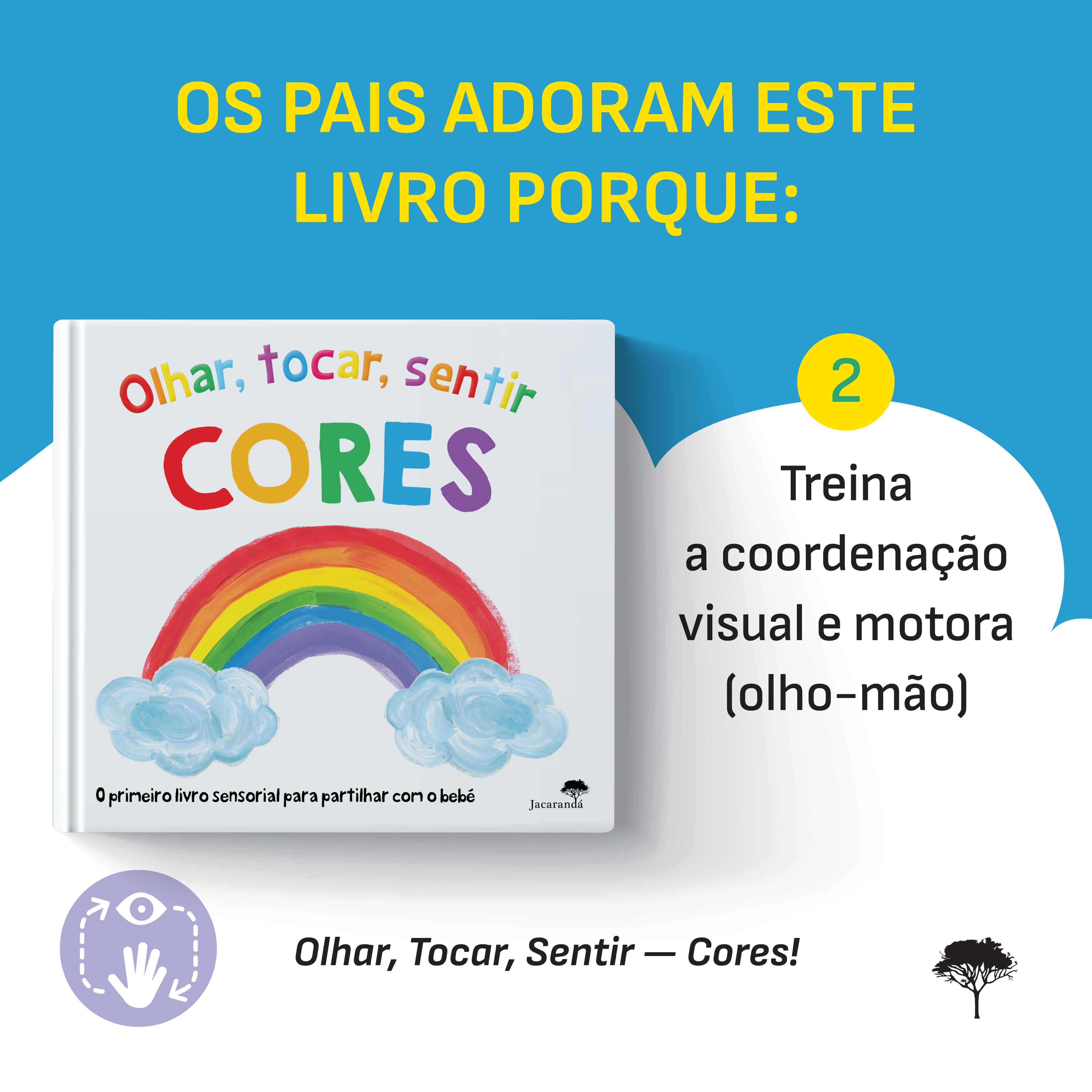 Olhar, Tocar, Sentir - Cores - Image 3