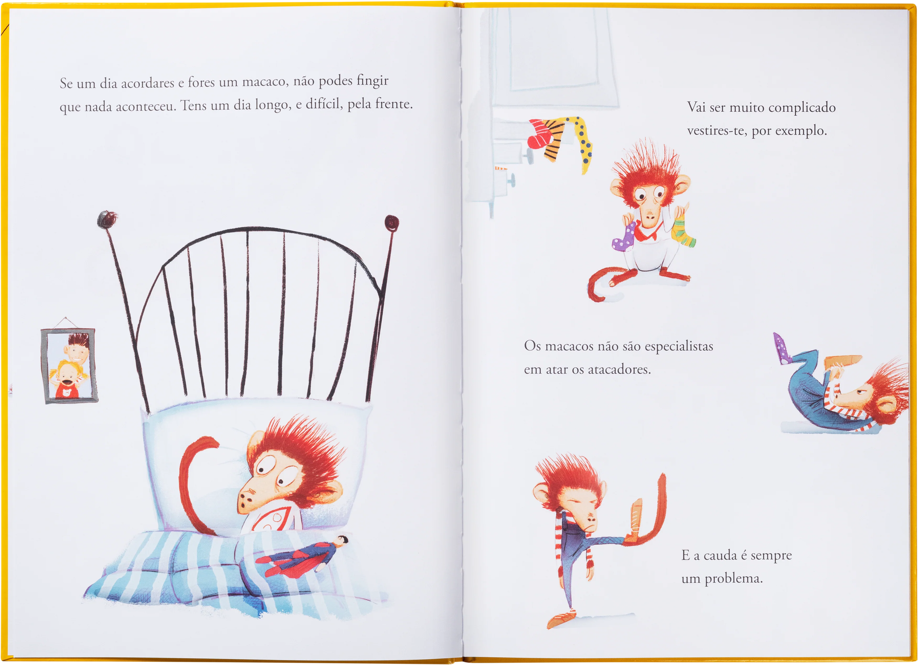 Quando És um Macaco - Image 2